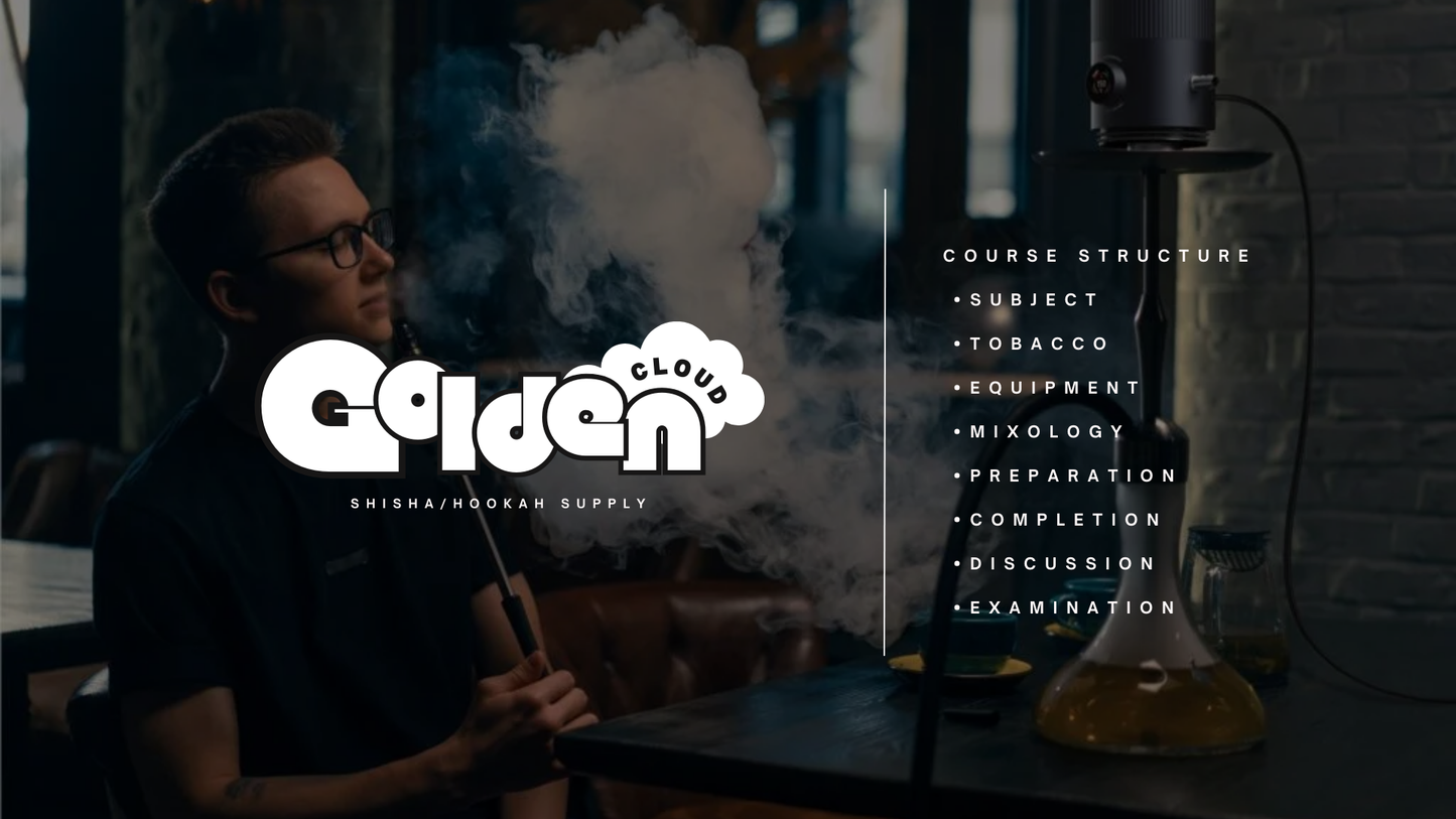 Shisha Pro 入门课程